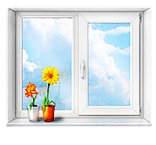 window